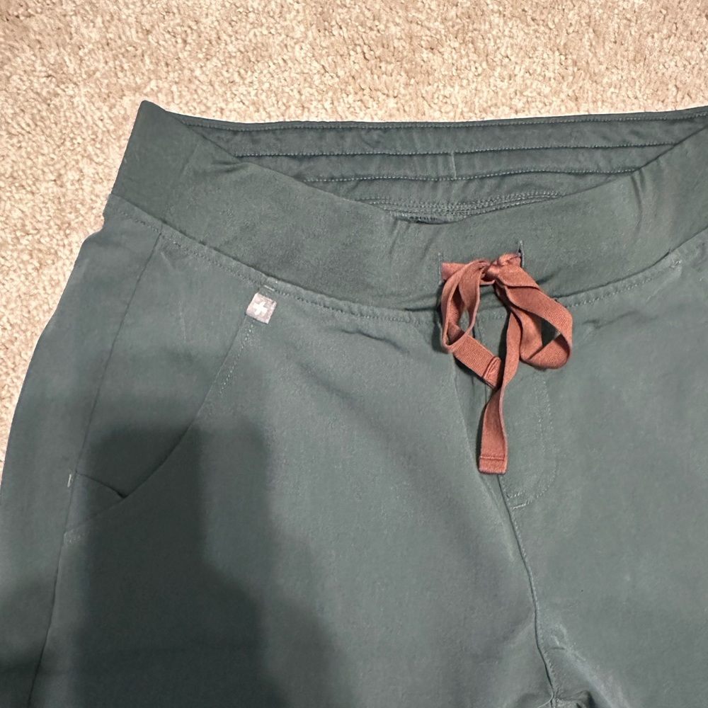 Sm Zamora Figs-Bonsai